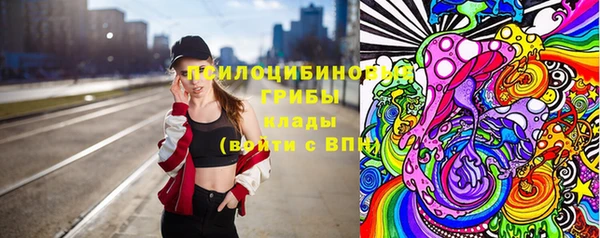 ешки Слюдянка