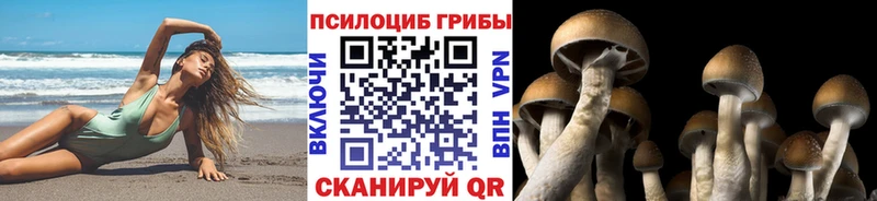 Галлюциногенные грибы GOLDEN TEACHER  Купить  Шлиссельбург 